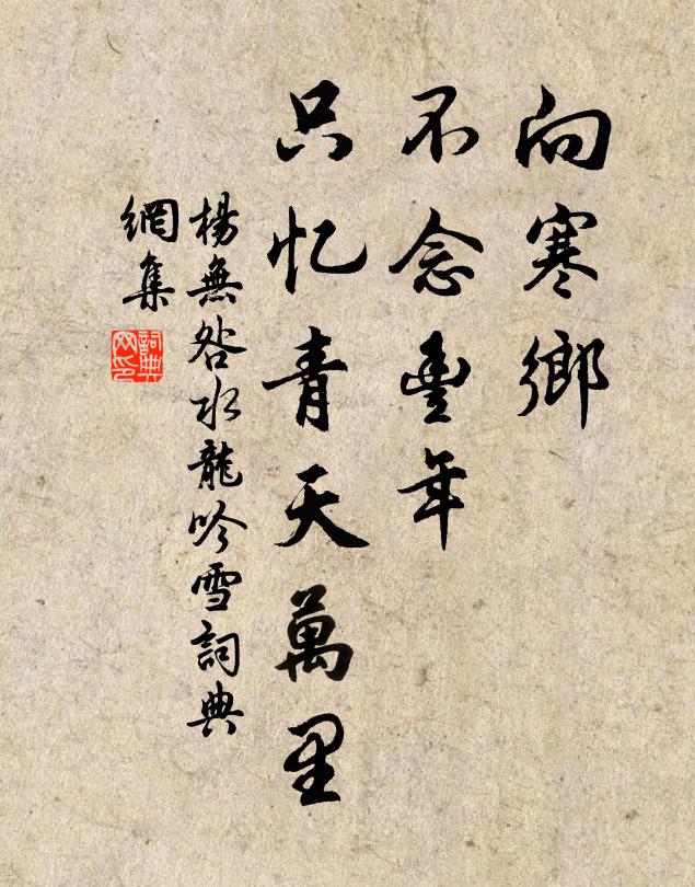 杨无咎向寒乡、不念丰年，只忆青天万里书法作品欣赏