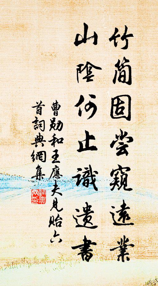 曹勋竹简固尝窥远业，山阴何止识遗书书法作品欣赏