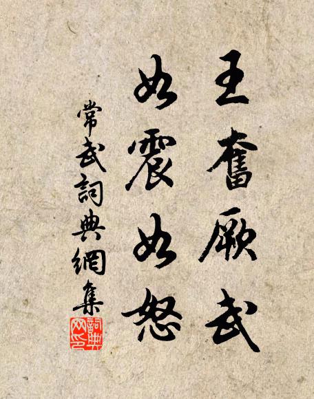 佚名王奋厥武,如震如怒书法作品欣赏