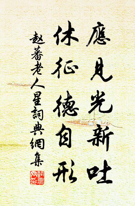 赵蕃应见光新吐，休征德自形书法作品欣赏