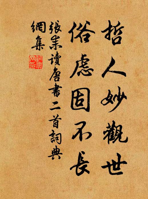 张耒哲人妙观世，俗虑固不长书法作品欣赏