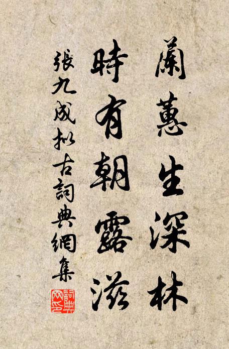 张九成兰蕙生深林，时有朝露滋书法作品欣赏