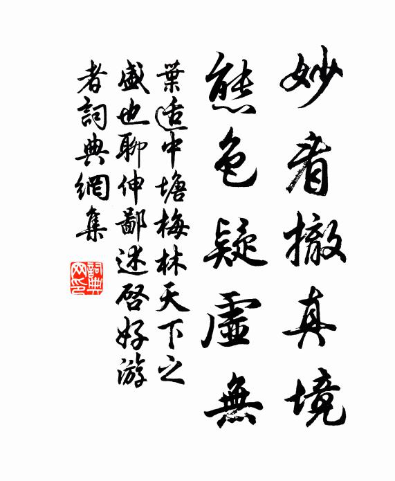 叶适妙看撤真境，态色疑虚无书法作品欣赏