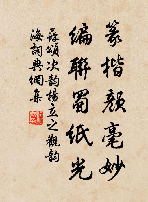 苏颂篆楷颜毫妙，编联蜀纸光书法作品欣赏