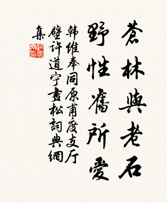 韩维苍林与老石，野性旧所爱书法作品欣赏