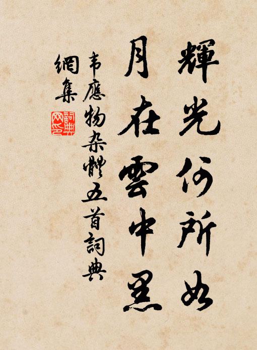 韦应物辉光何所如，月在云中黑书法作品欣赏