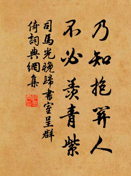 司马光乃知抱关人，不必羡青紫书法作品欣赏