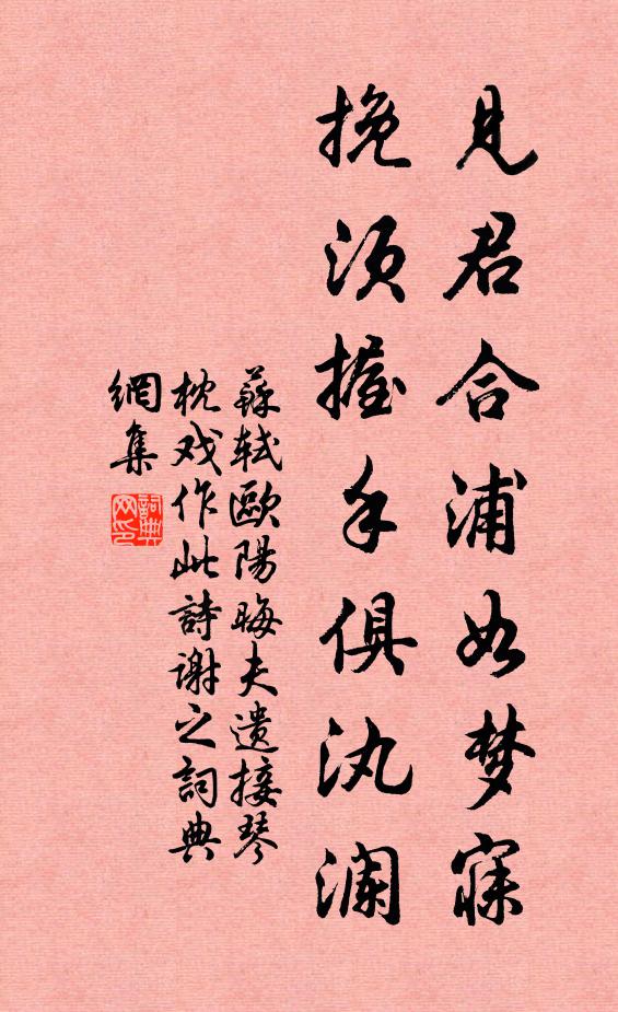 苏轼见君合浦如梦寐，挽须握手俱汍澜书法作品欣赏