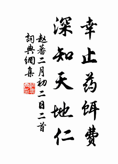 赵蕃幸止药饵费，深知天地仁书法作品欣赏