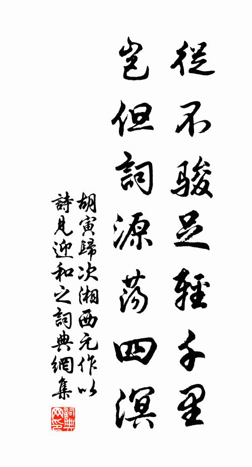 胡寅从不骏足轻千里，岂但词源荡四溟书法作品欣赏