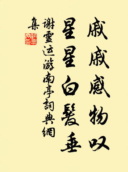 谢灵运戚戚感物叹，星星白发垂书法作品欣赏