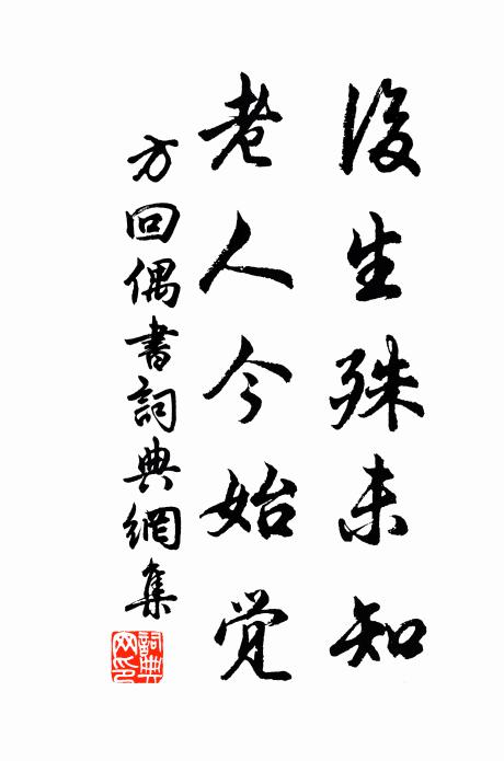方回后生殊未知，老人今始觉书法作品欣赏