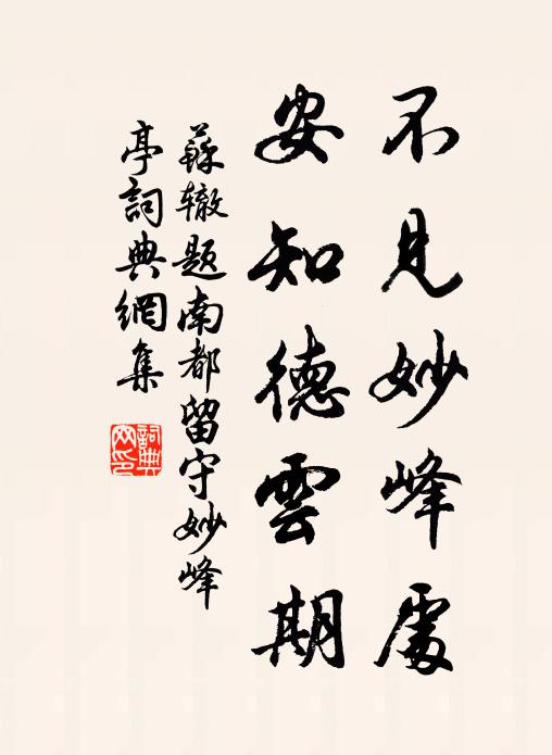 苏辙不见妙峰处，安知德云期书法作品欣赏