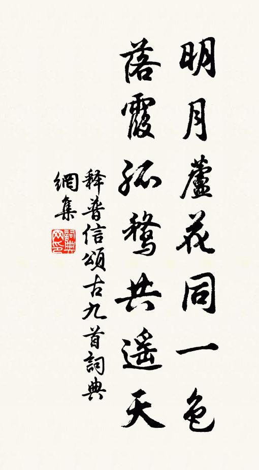 释普信明月芦花同一色，落霞孤鹜共遥天书法作品欣赏