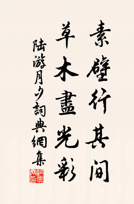 陆游素壁行其间，草木尽光彩书法作品欣赏