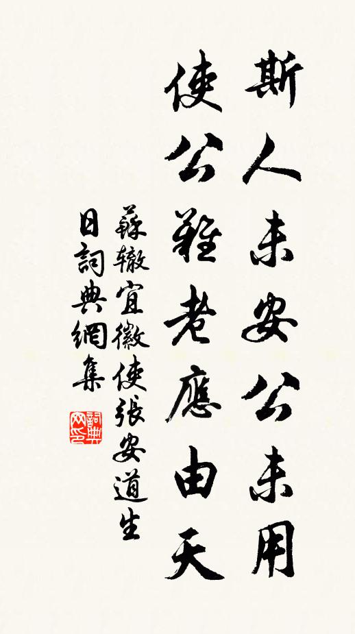苏辙斯人未安公未用，使公难老应由天书法作品欣赏