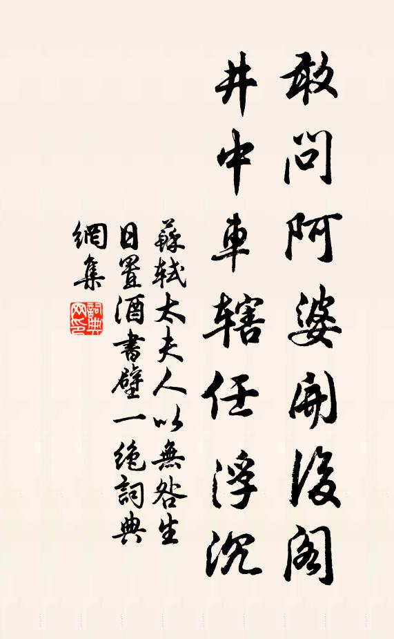 苏轼敢问阿婆开后阁，井中车辖任浮沉书法作品欣赏