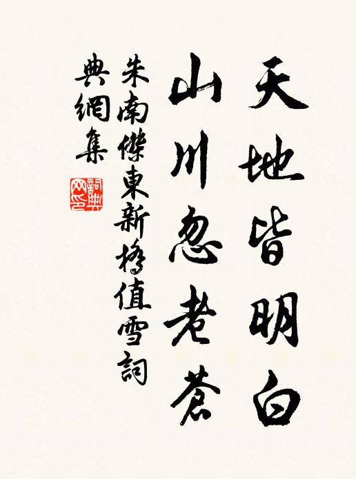 朱南杰天地皆明白，山川忽老苍书法作品欣赏