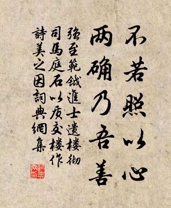 强至不若照以心，两确乃吾善书法作品欣赏