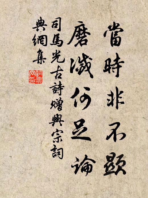 司马光当时非不显，磨灭何足论书法作品欣赏