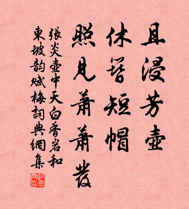 张炎且浸芳壶，休簪短帽，照见萧萧发书法作品欣赏
