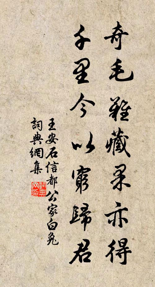 王安石奇毛难藏果亦得，千里今以穷归君书法作品欣赏