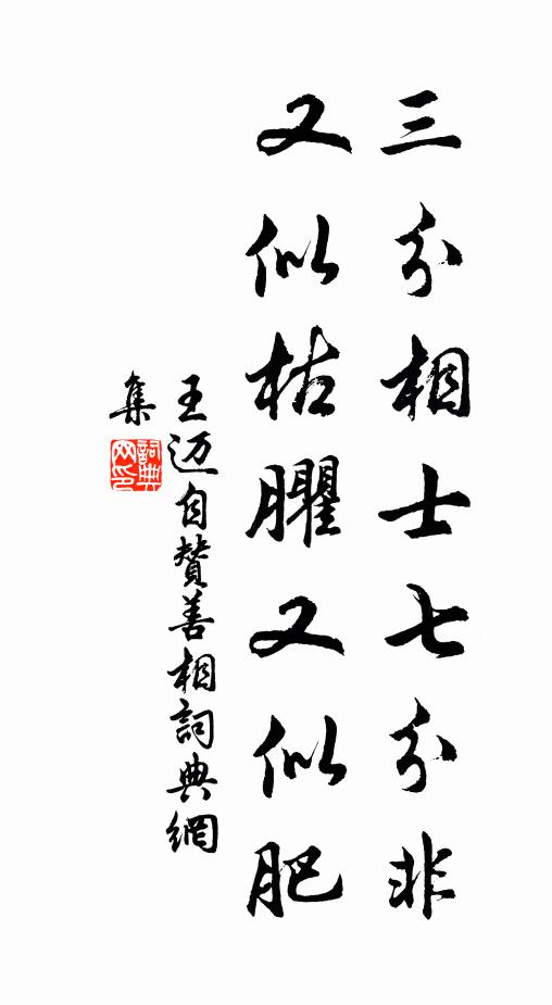 王迈三分相士七分非，又似枯臞又似肥书法作品欣赏