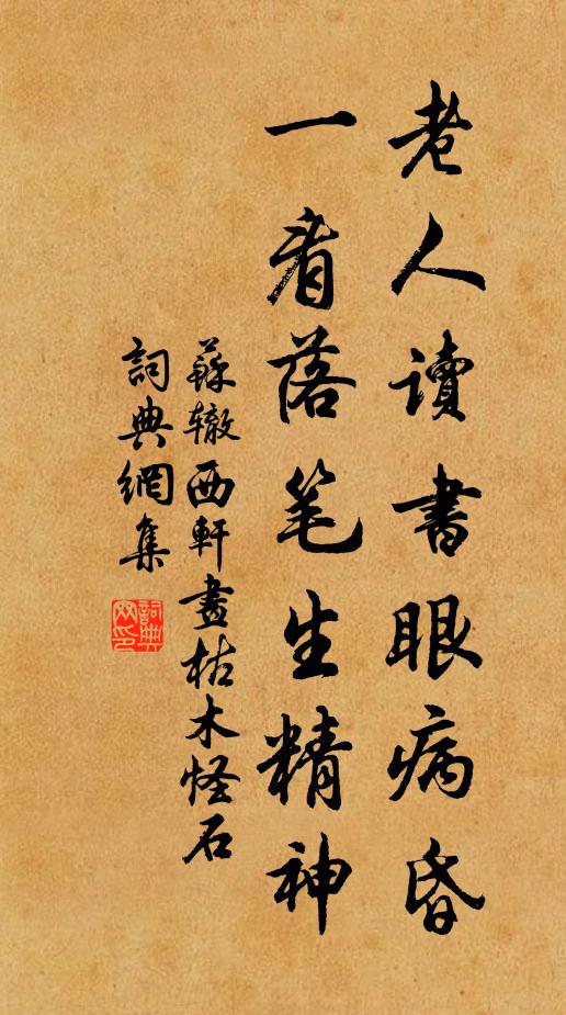 苏辙老人读书眼病昏，一看落笔生精神书法作品欣赏