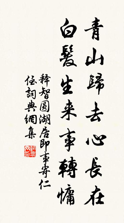 释智圆青山归去心长在，白发生来事转慵书法作品欣赏