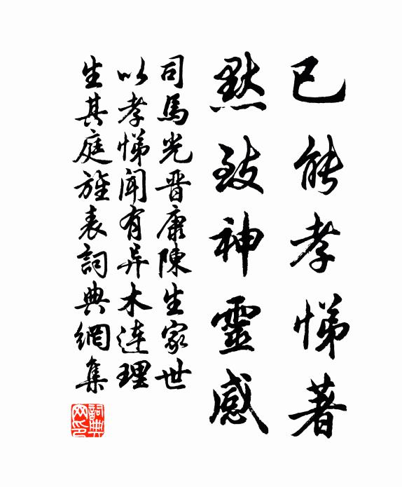 司马光已能孝悌著，默致神灵感书法作品欣赏