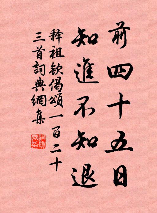 释祖钦前四十五日，知进不知退书法作品欣赏