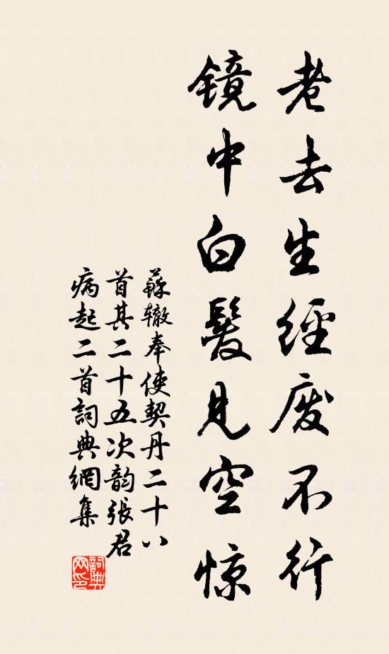 苏辙老去生经废不行，镜中白发见空惊书法作品欣赏