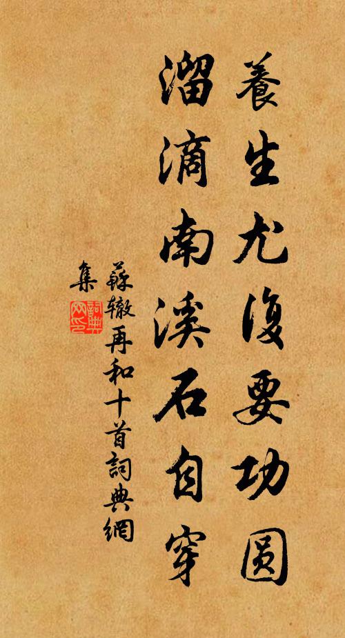 苏辙养生尤复要功圆，溜滴南溪石自穿书法作品欣赏
