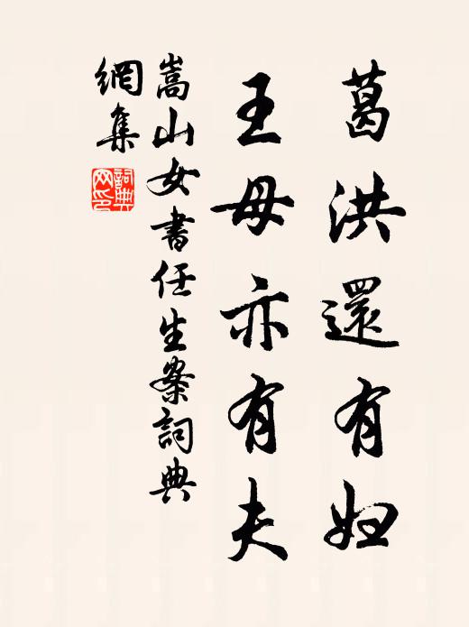 嵩山女葛洪还有妇，王母亦有夫书法作品欣赏