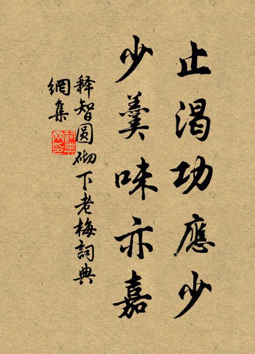 释智圆止渴功应少，少羹味亦嘉书法作品欣赏