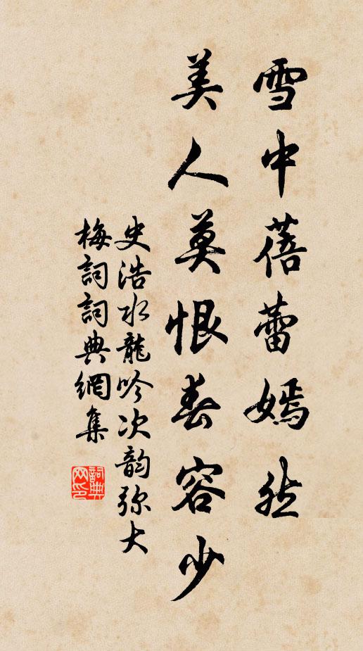 史浩雪中蓓蕾嫣然，美人莫恨春容少书法作品欣赏