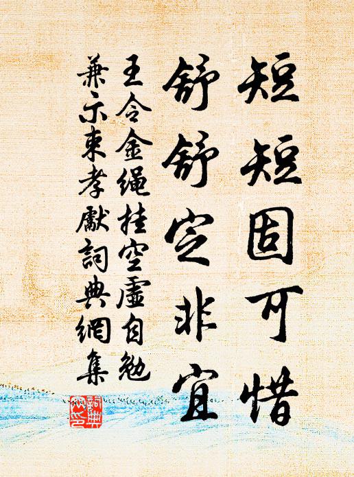 王令短短固可惜，舒舒定非宜书法作品欣赏