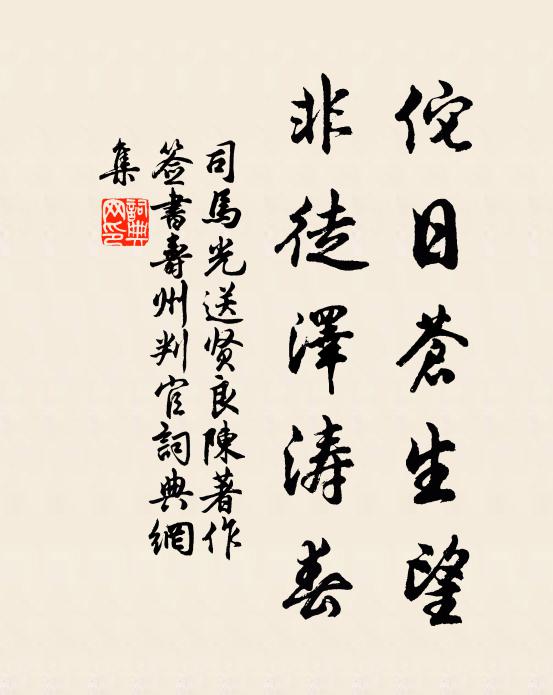 司马光佗日苍生望，非徒泽涛春书法作品欣赏