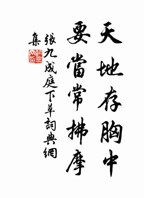 张九成天地存胸中，要当常拂摩书法作品欣赏