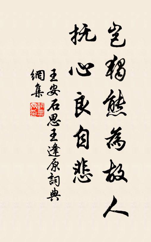 王安石岂独熊为故人，抚心良自悲书法作品欣赏