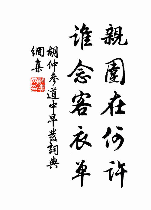 胡仲参亲围在何许，谁念客衣单书法作品欣赏