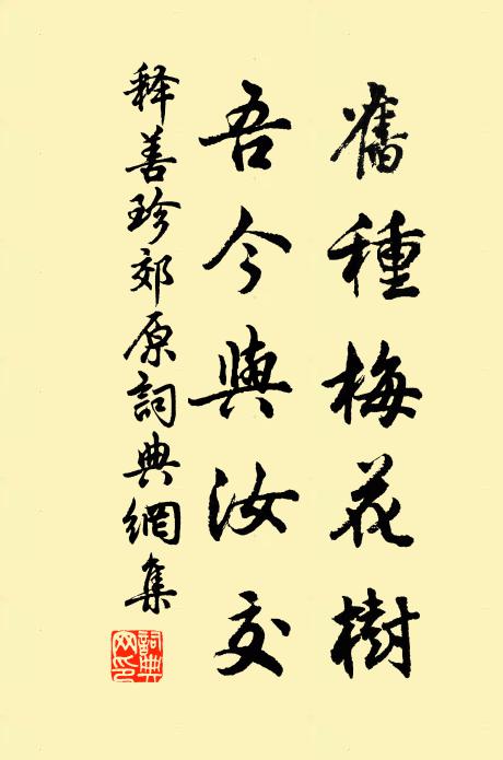 释善珍旧种梅花树，吾今与汝交书法作品欣赏