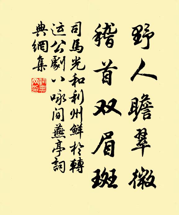 司马光野人瞻翠微，稽首双眉斑书法作品欣赏