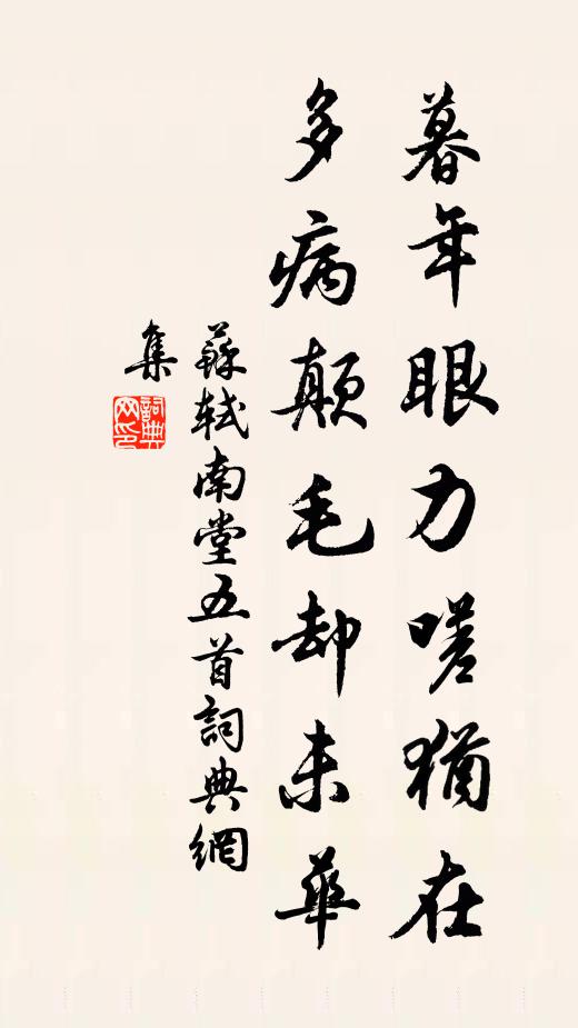 苏轼暮年眼力嗟犹在，多病颠毛却未华书法作品欣赏