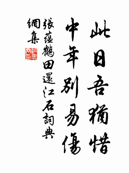 张蕴此日吾犹惜，中年别易伤书法作品欣赏