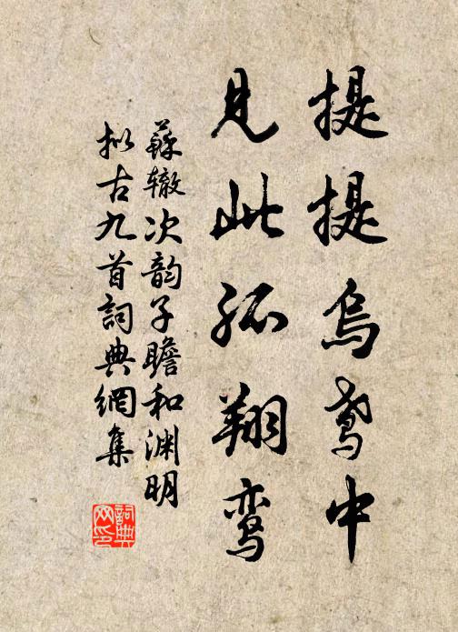 苏辙提提乌鸢中，见此孤翔鸾书法作品欣赏