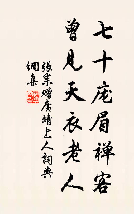 张耒七十庞眉禅客，曾见天衣老人书法作品欣赏