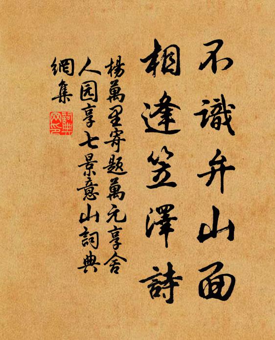 杨万里不识弁山面，相逢笠泽诗书法作品欣赏