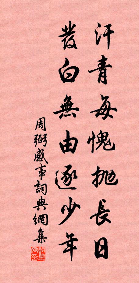 周弼汗青每愧抛长日，发白无由逐少年书法作品欣赏