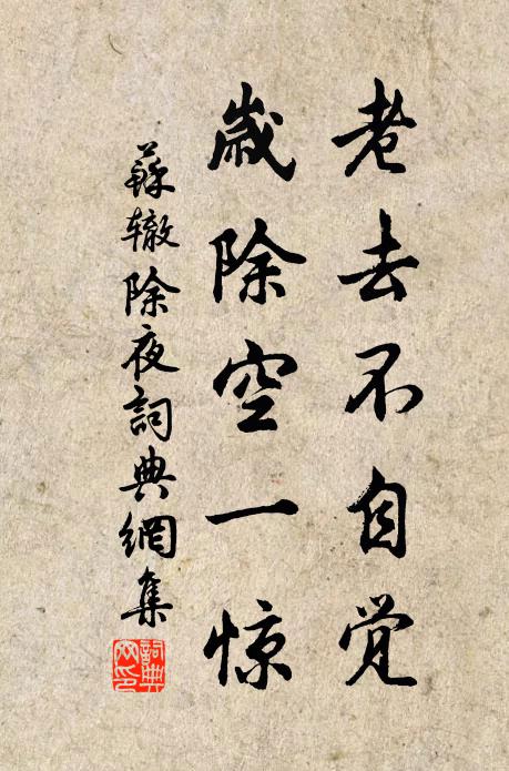 苏辙老去不自觉，岁除空一惊书法作品欣赏